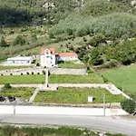 Alzira Seia