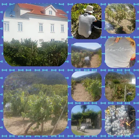 Alzira Farm stay
