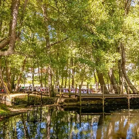 Alzira Farm stay Seia
